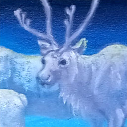 Peary Caribou Under Northern Lights